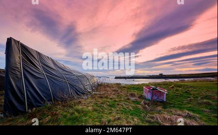 Upturned Herring boats used as storage sheds on Lindisfarne Island, coast of Northumberland northern England, UK, GB. Stock Photo