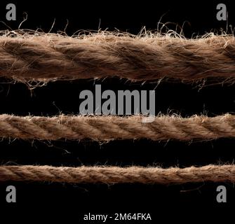 Long Rope Or String collection of various ropes string on white background. each one is ...