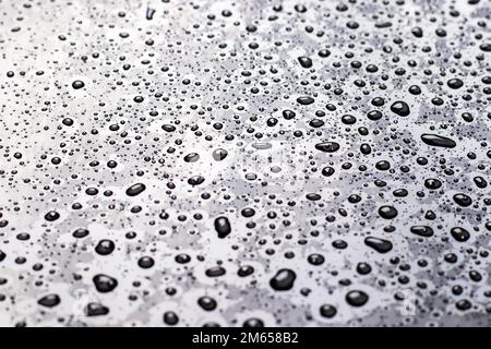 drops of water-repellent surface in black white. Stock Photo