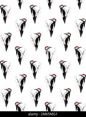 Vector seamless pattern of hand drawn colored woodpecker bird isolated on white background Stock Vector