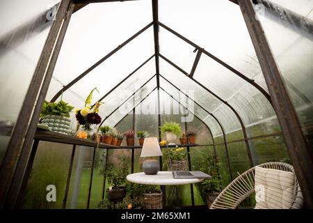 Beautiful workplace with laptop in glasshouse Stock Photo