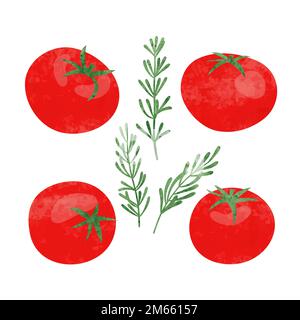 Set of red watercolor tomato. Vector illustration. Stock Vector