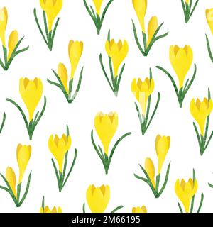 Seamless watercolor yellow crocus flowers pattern. Vector spring illustration. Stock Vector