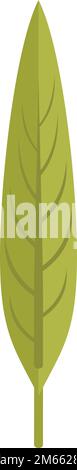 Long green leaf icon flat vector. Fall foliage. Leaves tree isolated Stock Vector