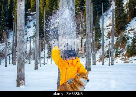 a little boy throws snow up on a dog. fun in winter Stock Photo