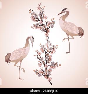 two herons birds and japanese cherry vector illustration, Stock Vector