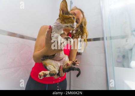 Medium shot with a wet cat in the shower on the foreground being held by a woman. High quality photo Stock Photo