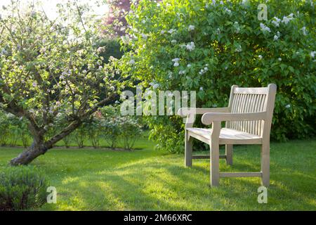 Teak garden bench on lawn in a UK garden in spring, with apple and lilac trees in blossom Stock Photo