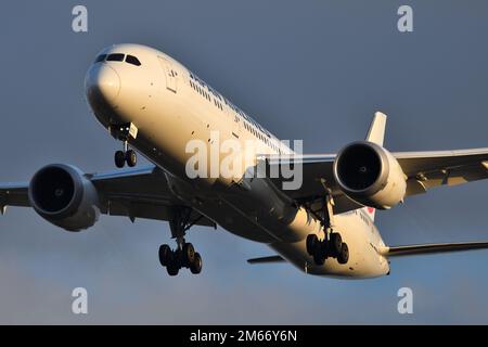 Japan airlines 787 9 hi-res stock photography and images - Alamy