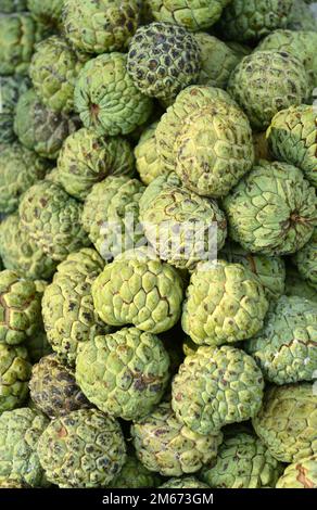 Custard Apples sold in the old city of Madurai, Tamil Nadu, India. Stock Photo