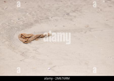 A plastic bag littered on the sand Stock Photo