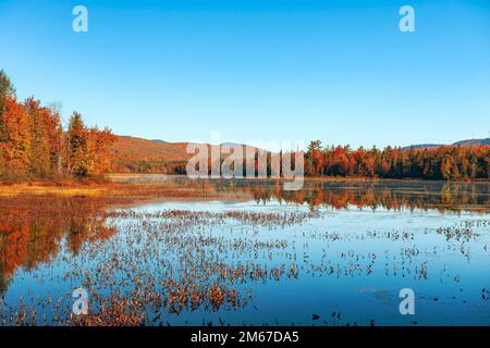 Pontook Reservoir on the Androscoggin River in autumn. Dummer. Coos County. New Hampshire. USA Stock Photo