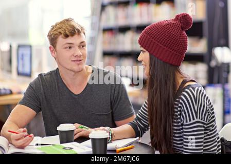 Study buddies. two college students studying together at the library. Stock Photo
