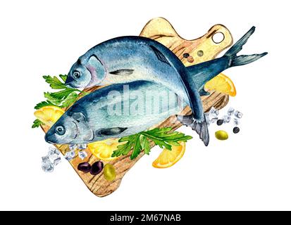 Watercolor Illustration, Set of the Fishing, Wooden Boat, Fish Carp, Paddle,  Pike, Fishing Rod, Perch and Stones, Bucket Stock Illustration -  Illustration of looking, reed: 275673872