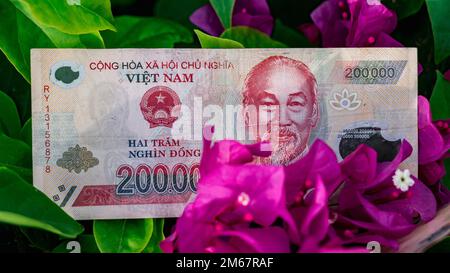 Vietnamese money currency 200 000 and 10 000 dong banknote flower symbol of income grows prosperous Stock Photo