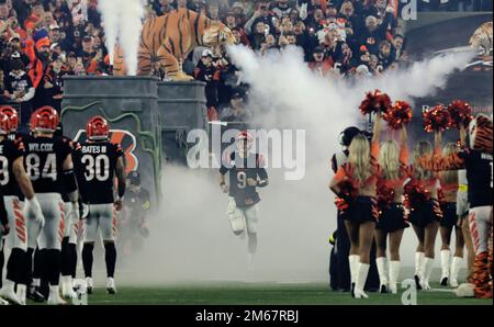 Cincinnati, United States. 16th Jan, 2023. Cincinnati Bengals quarterback Joe  Burrow (9) and Sam Hubbard (94) celebrate after defeating the Baltimore  Ravens 24-17 in their AFC Wild Card game at Paycor Stadium