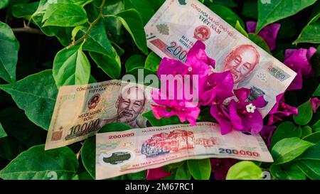 Vietnamese money currency 200 000 and 10 000 dong banknote flower symbol of income grows prosperous Stock Photo