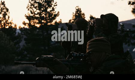 U.S. Marines with Kilo Company, 3rd Battalion, 4th Marines, 7th Marine Regiment, 1st Marine Division, seize the objective area during a force-on-force training exercise at Marine Corps Mountain Warfare Training Center, (MCMWTC), Bridgeport, California, April 15, 2022. The objective area, Landing Zone Quail, was the penultimate goal before seizing the Expeditionary Air Field near the base camp at MCMWTC Bridgeport. Stock Photo