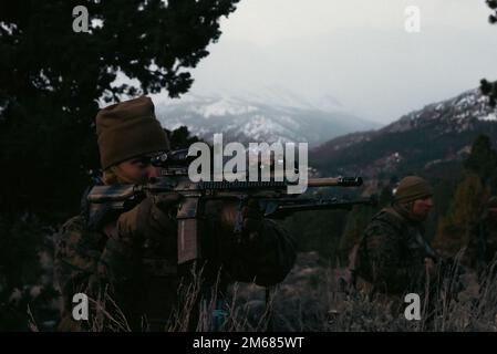 U.S. Marines with Kilo Company, 3rd Battalion, 4th Marines, 7th Marine Regiment, 1st Marine Division, seize the objective area during a force-on-force training exercise at Marine Corps Mountain Warfare Training Center, (MCMWTC), Bridgeport, California, April 15, 2022. The objective area, Landing Zone Quail, was the company’s penultimate goal before seizing the Expeditionary Air Field near the base camp at MCMWTC Bridgeport. Stock Photo