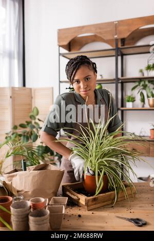 smiling african american florist looking at camera while working with plants in flower shop,stock image Stock Photo