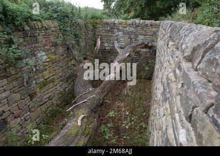 Andy Goldsworthy, Hanging Trees 2007, a sculpture at the at the Yorkshire Sculpture Park Stock Photo