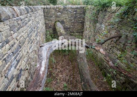 Andy Goldsworthy, Hanging Trees 2007, a sculpture at the at the Yorkshire Sculpture Park Stock Photo