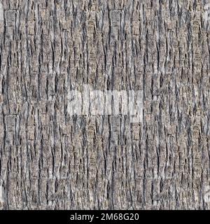 Seamless texture of brown palm tree bark. Natural background Stock Photo