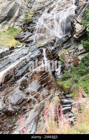 Sparse autumn vegetation of mosses, lichens and grasses of various types, colors and shades on brown karst granite rocks and flowing foamy waters of a Stock Photo