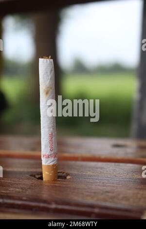 The life-destroying thing. cigarette, will damage the lungs and also the environment. The most used thing in the world. life hacking thing on earth. Stock Photo