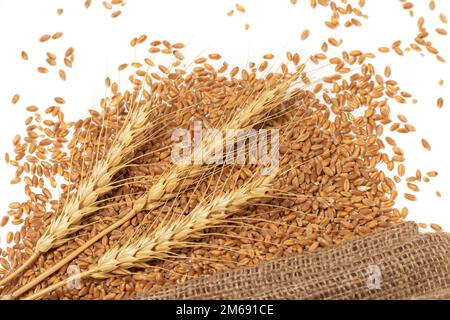 Grain and ears of wheat isolated on white background. Top view. Stock Photo