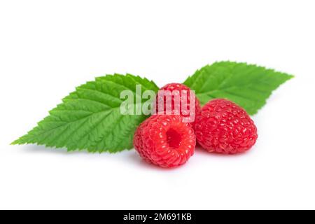 Isolated berries. Pile of raspberry fruits with leaves isolated on white background. Stock Photo