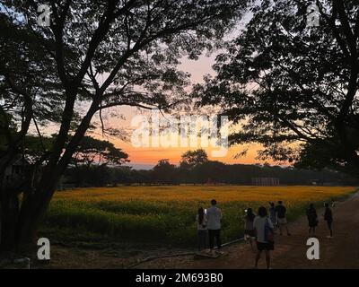 Bangkok, Thailand. 25th Dec, 2022. Tourists have fun at Jim Thompson Farm, three hours drive away from Bangkok, Thailand, Dec. 25, 2022. TO GO WITH 'Feature: Thailand's tourism sector gears up for return of Chinese travelers' Credit: Chen Jiabao/Xinhua/Alamy Live News Stock Photo