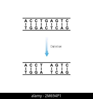 Substitution Mutation Scientific Design. Vector Illustration. Stock Vector