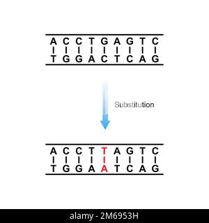 Substitution Mutation Scientific Design. Vector Illustration. Stock Vector