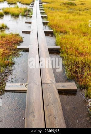 traditional bog landscape with wet trees, grass and bog moss in the rain, wooden bridge over the bog ditch, woman in blue raincoat on a wooden footbri Stock Photo