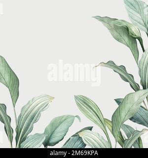 Hand drawn tropical leaves on a white background vector Stock Vector