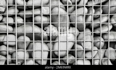 Texture background stones under the metal grid. Natural pattern Stock Photo