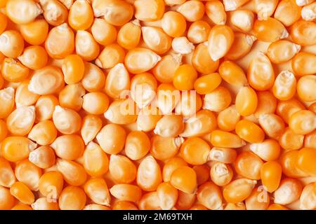 Raw corn kernels texture, background. Healthy vegan food. Stock Photo