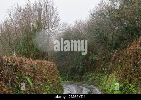 Farlacombe Devon, United Kingdom. 03 Jan 2023, High winds and heavy rain cause flooding and potholes on rural roads in Devon. Credit: Will Tudor/Alamy Live News Stock Photo