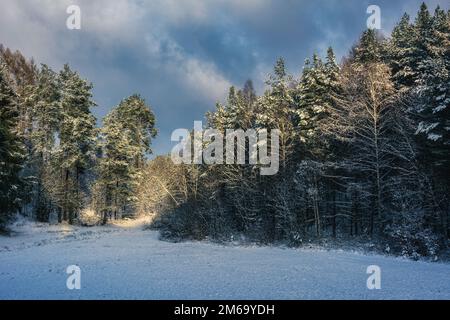 A snowy glade in the middle of a winter forest - Pomerania, Poland Stock Photo