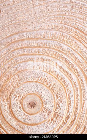 Center of a dried spruce trunk, horizontal cut, showing the growth rings. European spruce tree, Picea abies, with annual or tree rings. Stock Photo