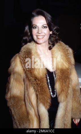 Natalie Wood 1981 Credit: Ralph Dominguez/MediaPunch Stock Photo - Alamy