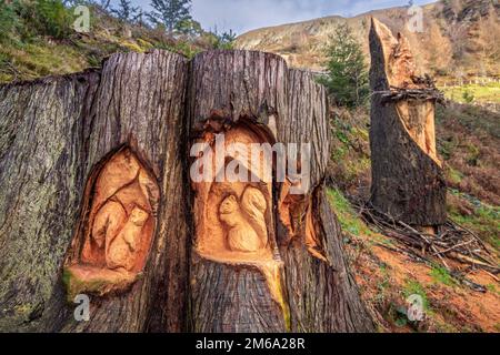Red Squirrel sculptures on the Elan Valley Sculpture Trail, Powys, Wales Stock Photo