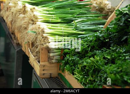 Green spring onion on market Stock Photo