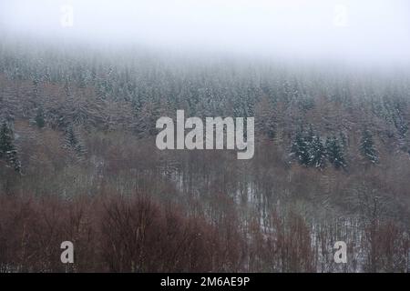 Dunkeld, Scotland, UK. 3rd January 2023. The Temperature slowly rises and the recent Winter snow starts to melt and turn to slush. Low mist and drizzle hang over the woods around Dunkeld.  Credit: Craig Brown/Alamy Live News Stock Photo