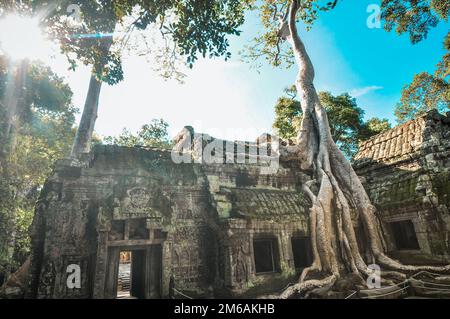 Ancient buddhist khmer temple in Angkor Wat complex, Siem Reap Cambodia Stock Photo