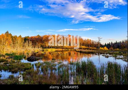 Fall in New England, Vermont, United States Stock Photo