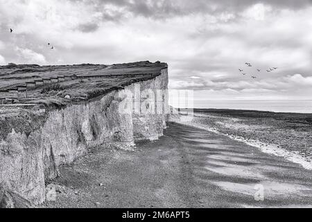 Seven Sisters chalk coast, monochrome, Birling Gap, East Sussex, South Downs National Park, England, United Kingdom Stock Photo