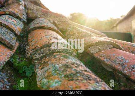 Antique Arabic type tiles on the roof of an old village house in Spain. Stock Photo