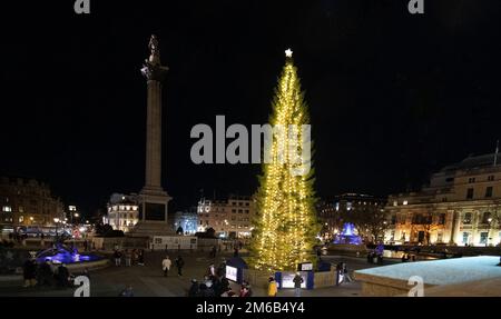 Norway's annual gifted tall Norwegian spruce  Christmas tree in Trafalgar Square One Twitter user called Norway's 2022 Christmas tree offering scrawny Stock Photo